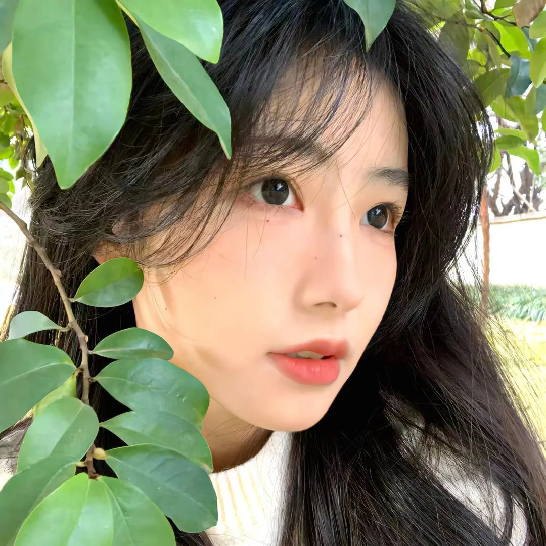 这个美好的世界